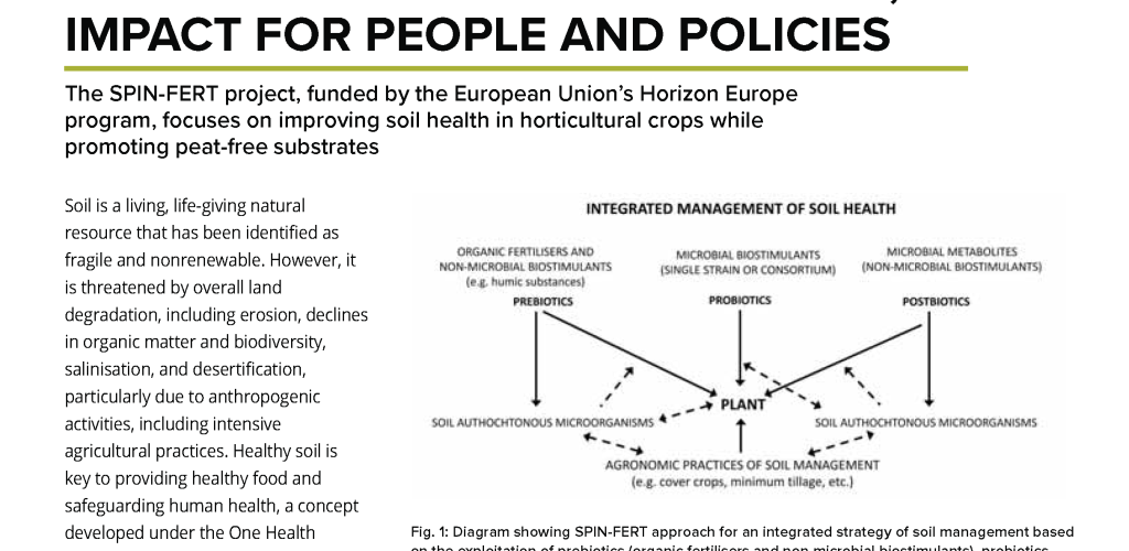 Open Access Goverment