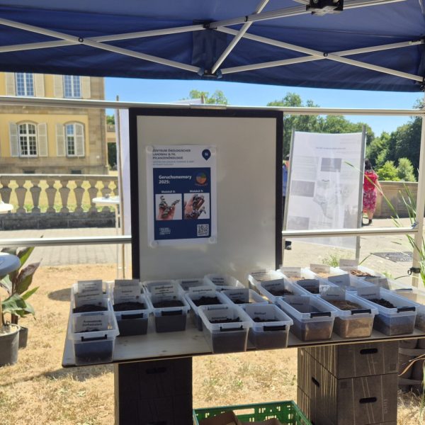 OpenDay1