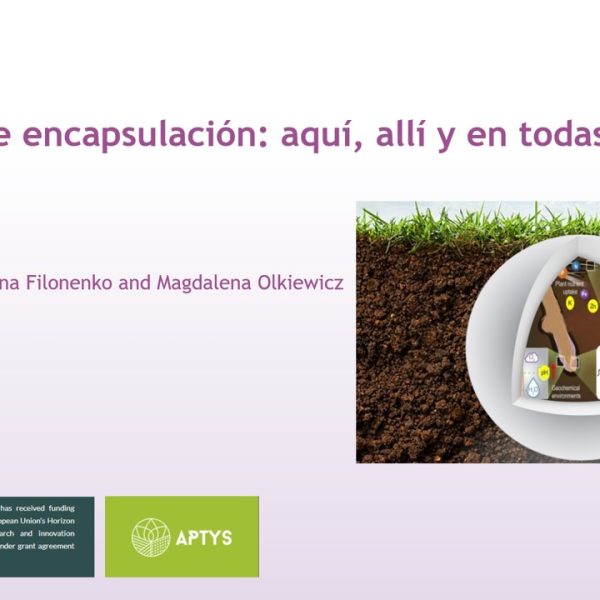 tylkowski Spin Fert 27112025